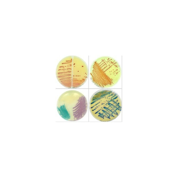 Chromatic Salmonella piastre da 90 mm in confezione da 20